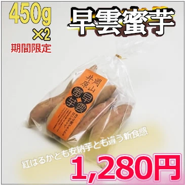 【特製石室貯蔵　しっとり甘い！早雲蜜芋】岡山県産　さつまいも 450g×２袋