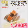 【特製石室貯蔵　しっとり甘い！早雲蜜芋】岡山県産　さつまいも 450g×２袋