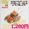 【早雲蜜芋】岡山県井原市産　さつまいも　オリジナル品種 450g×２袋
