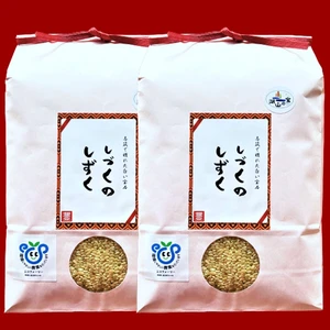 【新米】茨城県産ミルキークイーン しづくのしずく10kg(玄米）