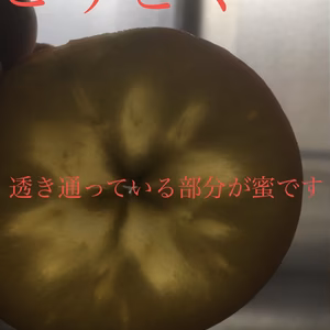 人気急上昇！！　幻のりんご　こうとく