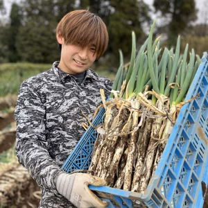 留守農場の甘くてうまい泥ネギと牛蒡のセット