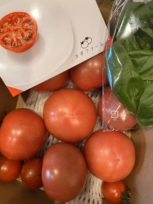 みんなの投稿の画像