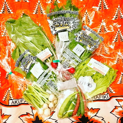 みんなの投稿の画像