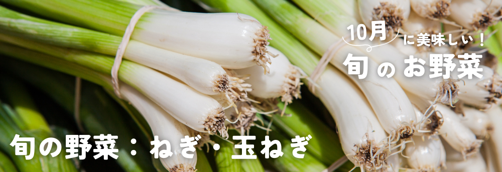 10月に旬の秋野菜 ねぎ・玉ねぎ