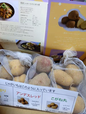 みんなの投稿の画像