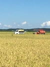 石川県特別栽培米コシヒカリ　　　　　　白米5キロ×2 令和1年産