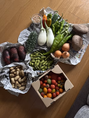 みんなの投稿の画像