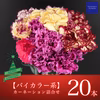 クリスマス限定【バイカラー系】最高級カーネーション詰合せ(20本セット)