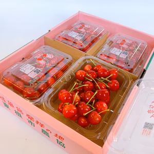 【６月２５日以降発送】【ご家庭用】佐藤錦　Lサイズ　200g×4p