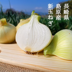 長崎県産新玉ねぎ4kg【ちょっと訳あり】