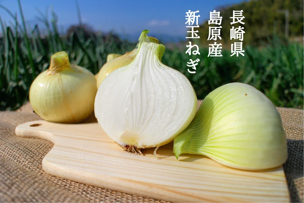 【訳あり】長崎県産新玉ねぎ4kg　3月中旬頃発送予定