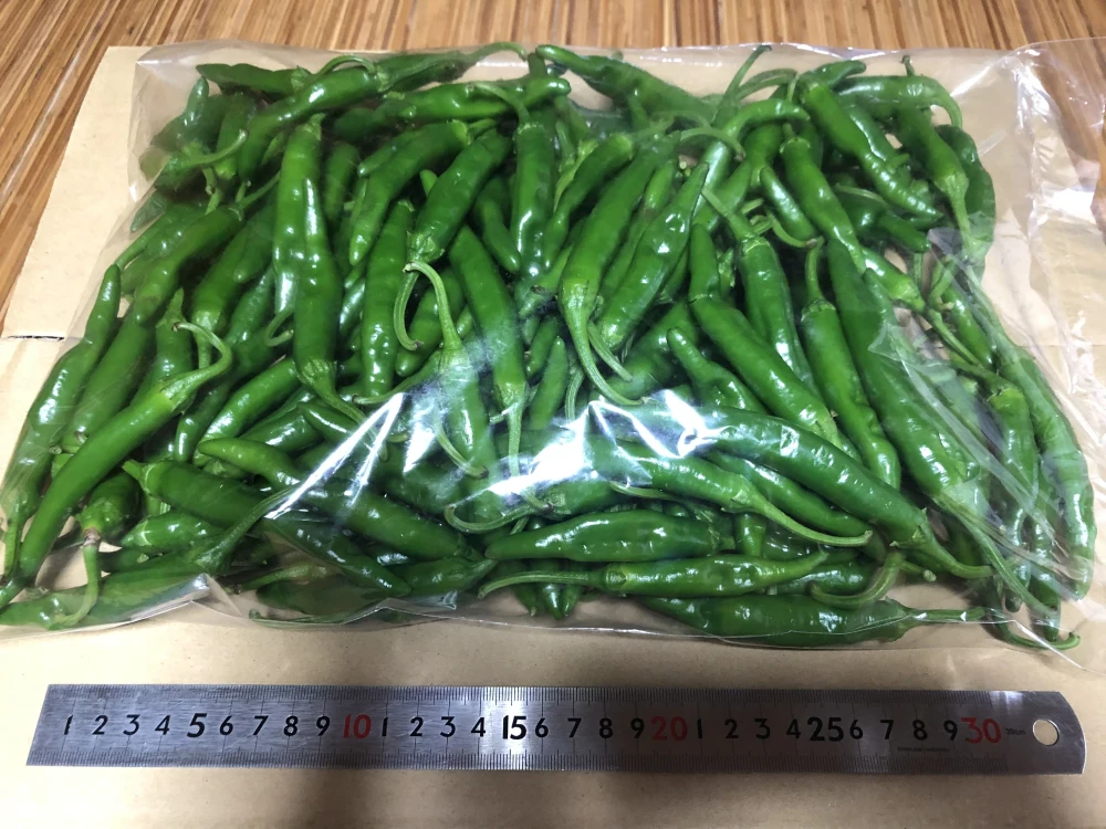 激辛 青唐辛子 （辣妹子）8Kg 長野県産 無農薬。 | hartwellspremium.com