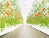 トマトジェラート　GemTomato　6個入り