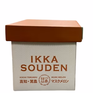 【最大級サイズメガBIG】1玉箱入り皮際まで甘いマスクメロン