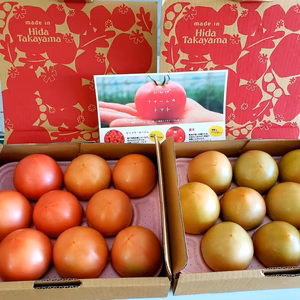 新葉ファームのリピーターさま専用　大玉トマト　9玉入り✖️2箱