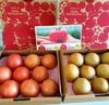 夏の大玉トマト『麗月』9玉入り✖️2箱
