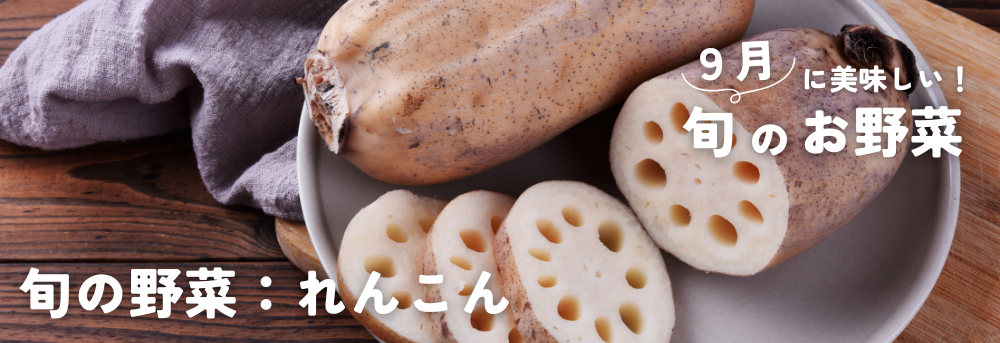 ９月に旬の野菜 れんこん