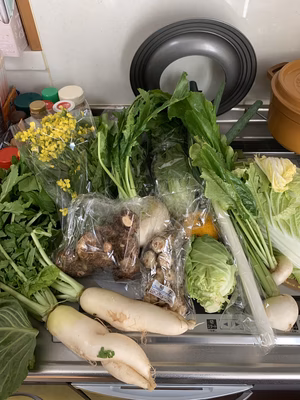 みんなの投稿の画像