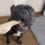  みそくんのおかあさん