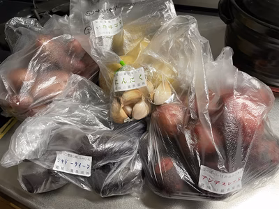 みんなの投稿の画像