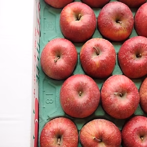 かぐや姫印　完熟サンふじりんごＬサイズ５ｋｇ