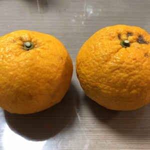 【有機JAS認定】スッキリ爽快！スルガエレガントです。