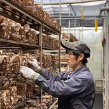 雨宮裕也 | 株式会社レインボーきのこ生産部