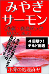 【期間限定】みやぎサーモン小骨処理済み チルド半身＜木曜日発送＞