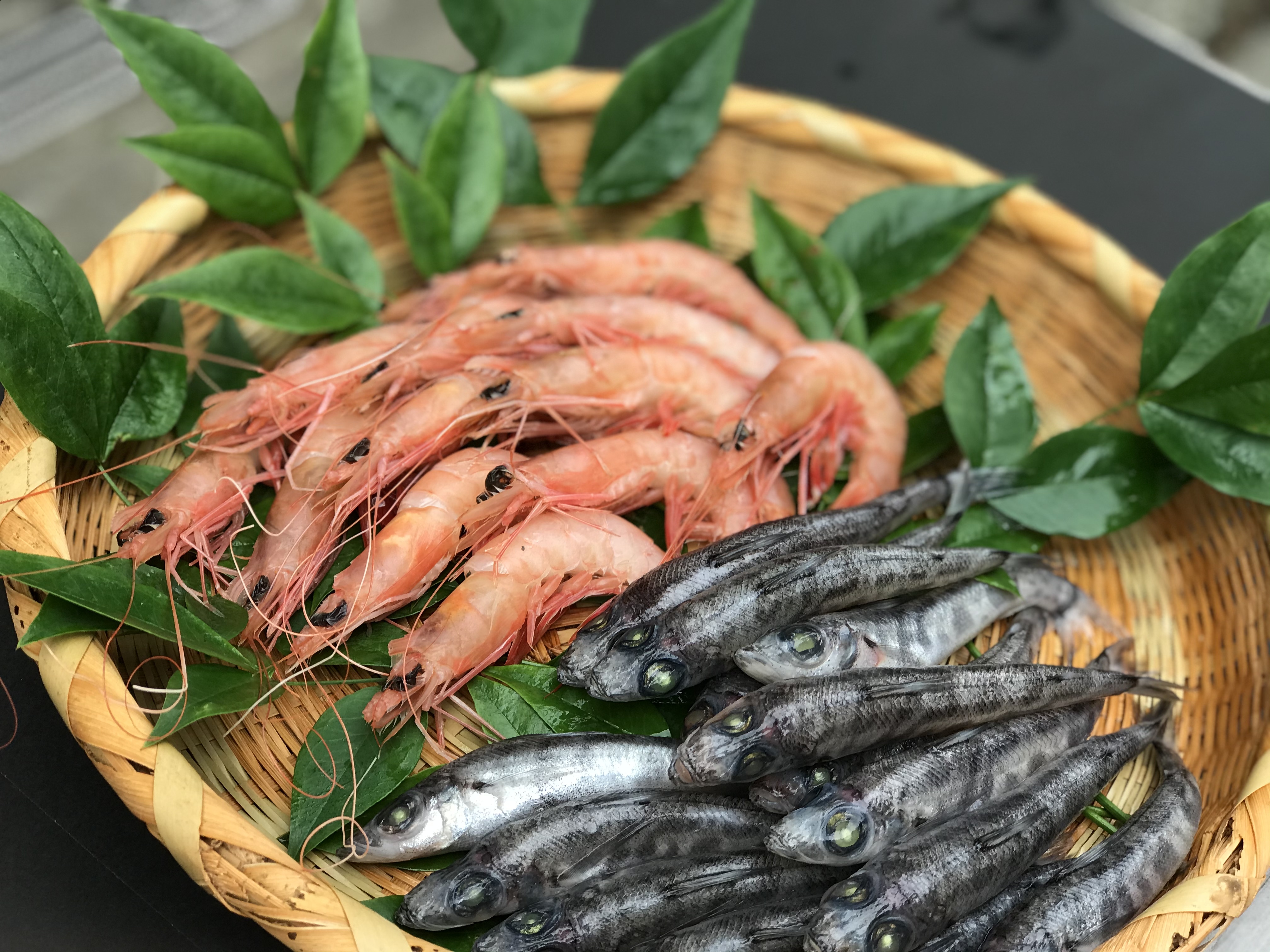 父の日ギフト 珊瑚色をしたトロえびと魚界チャンピオン級のメヒカリ 農家漁師から産地直送の通販 ポケットマルシェ