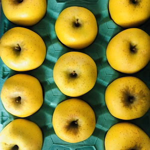 【数量限定】シナノゴールド　B級品　大玉　11〜13個　約5kg