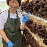 中村広美 | ハイネファーム