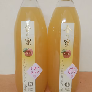 【父の日ギフト】【金の蜜】りんごジュース同品種セット
