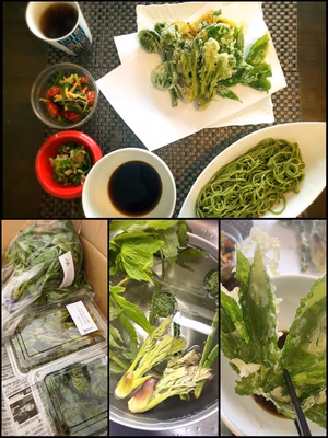 みんなの投稿の画像