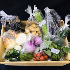 【６月の有機野菜】　有機JAS認証　オーガニック野菜　（Ⅿセット）