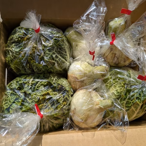 淡路島の恵お野菜セット100サイズ