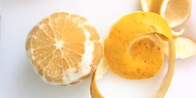 甘夏とグレフルが甘い！？その秘密は「春まで木なり完熟」にあり。農家さんが教えてくれました【前編】