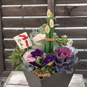 門松風寄せ植え★洋風にも和風にも★サイズ18センチスクエア