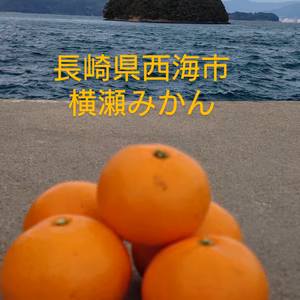 長崎産 もうすぐ終了山本早生みかん 除草剤ワックス不使用