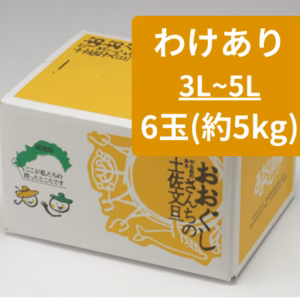 【訳あり大玉約5kg】おおぐしさんちの土佐文旦