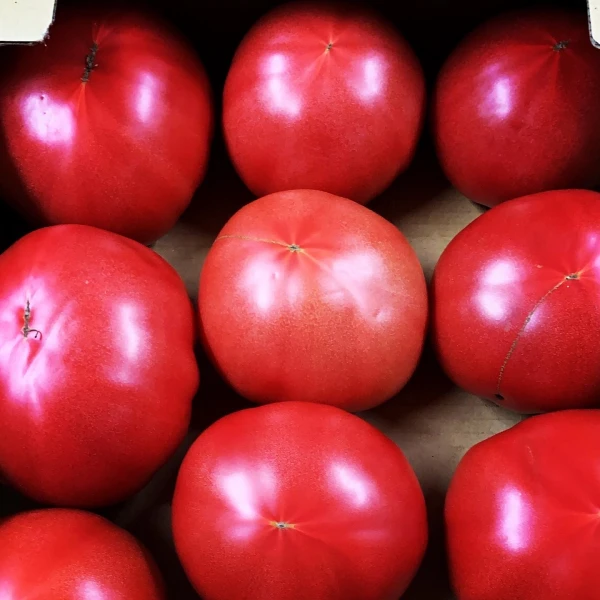 昔ながらの完熟トマトたっぷり４キロ‼︎大きさはおまかせください‼︎