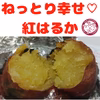 ねっとり系紅はるか　さつまいも　サツマイモ　薩摩芋　さつま芋　とちいもくん