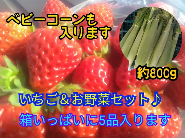 【お得な野菜セット5品✨箱いっぱい‼️】いちご&ベビーコーンセット