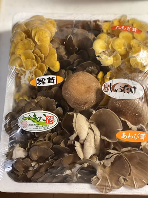 みんなの投稿の画像