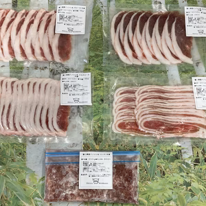 シシ鍋に最適セット！イノシシ肉スライス100g×4&ミンチ肉200g