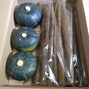 新ごぼう1kgとミニかぼちゃのセット