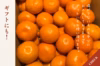 【ゆら早生】箱込み3キロ　ギフトにも　極早生【11月上旬より発送】有田みかん