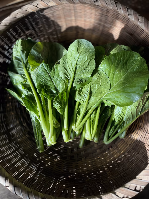 【自然栽培】甘〜い！霜当り小松菜