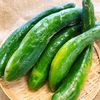 夏にさっぱり！きゅうりB品　（3㎏）