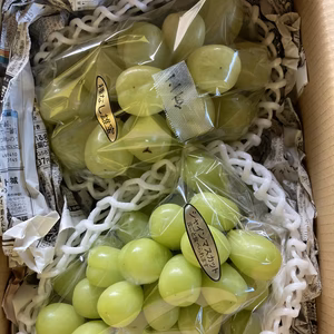 親子共演！　訳あり雄宝1キロ房とシャインマスカット特大1キロ房　セット！